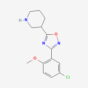 molecular formula C14H16ClN3O2 B11806205 3-(5-Chloro-2-methoxyphenyl)-5-(piperidin-3-yl)-1,2,4-oxadiazole 