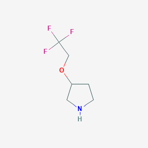 molecular formula C6H10F3NO B11811031 3-(2,2,2-Trifluoroethoxy)pyrrolidine 