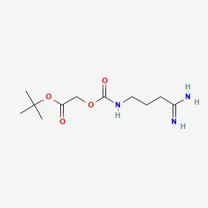 molecular formula C11H21N3O4 B11815257 Tert-butyl 2-[(4-amino-4-iminobutyl)carbamoyloxy]acetate 