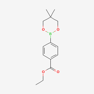 molecular formula C14H19BO4 B11816053 Ethyl 4-(5,5-dimethyl-1,3,2-dioxaborinan-2-yl)benzoate 