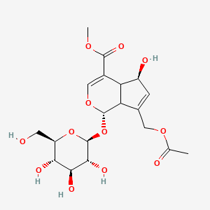 molecular formula C19H26O12 B11816175 methyl (1S,5S)-7-(acetyloxymethyl)-5-hydroxy-1-[(2S,3R,4S,5S,6R)-3,4,5-trihydroxy-6-(hydroxymethyl)oxan-2-yl]oxy-1,4a,5,7a-tetrahydrocyclopenta[c]pyran-4-carboxylate 