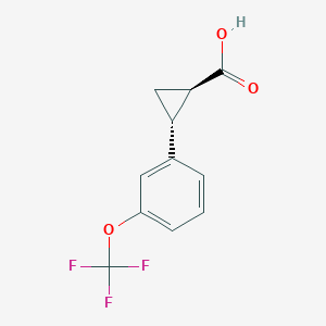 molecular formula C11H9F3O3 B11817594 Rel-(1R,2R)-2-(3-(trifluoromethoxy)phenyl)cyclopropane-1-carboxylic acid 