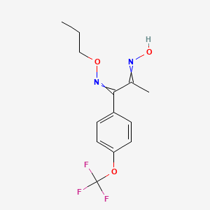 molecular formula C13H15F3N2O3 B11819452 N-[1-(propoxyimino)-1-[4-(trifluoromethoxy)phenyl]propan-2-ylidene]hydroxylamine 