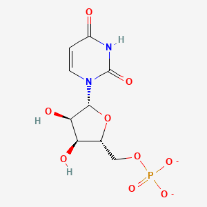 molecular formula C9H11N2O9P-2 B11826645 UMP dianion CAS No. 5690-54-0