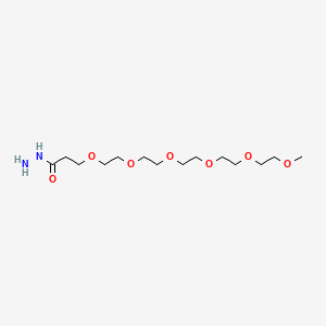 molecular formula C14H30N2O7 B11827202 m-PEG6-Hydrazide 