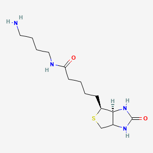 molecular formula C14H26N4O2S B11827870 Biotin-C4-amide-C5-NH2 