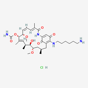 molecular formula C34H53ClN4O8 B11828344 Aminohexylgeldanamycin hydrochloride 