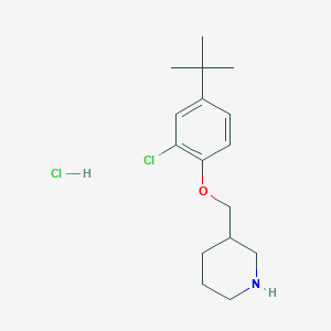 molecular formula C16H25Cl2NO B11828720 3-((4-(tert-Butyl)-2-chlorophenoxy)methyl)piperidine hydrochloride 