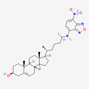 25-NBD Cholesterol