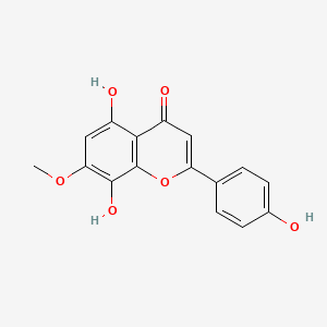 molecular formula C16H12O6 B11832320 Isocutellarein 7-methyl ether CAS No. 56595-23-4