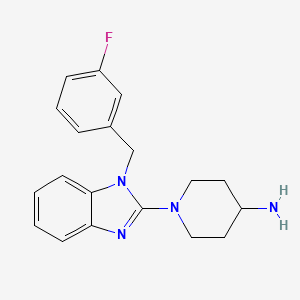 molecular formula C19H21FN4 B11833027 1-[1-(3-Fluoro-benzyl)-1H-benzoimidazol-2-yl]-piperidin-4-ylamine 