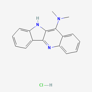 molecular formula C17H16ClN3 B11837148 N,N-Dimethyl-10H-indolo[3,2-b]quinolin-11-amine hydrochloride CAS No. 310462-68-1