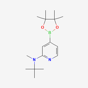 molecular formula C16H27BN2O2 B11837375 N-tert-butyl-N-methyl-4-(4,4,5,5-tetramethyl-1,3,2-dioxaborolan-2-yl)pyridin-2-amine 