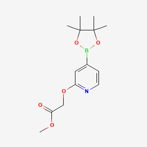 molecular formula C14H20BNO5 B11839638 Methyl 2-((4-(4,4,5,5-tetramethyl-1,3,2-dioxaborolan-2-yl)pyridin-2-yl)oxy)acetate CAS No. 1346697-34-4