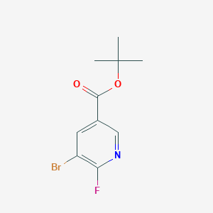 molecular formula C10H11BrFNO2 B11847313 tert-Butyl 5-bromo-6-fluoronicotinate 