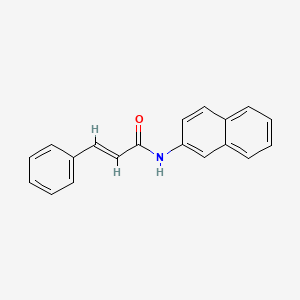 molecular formula C19H15NO B11850367 N-beta-Naphthyl-3-phenylpropenamide CAS No. 55255-54-4