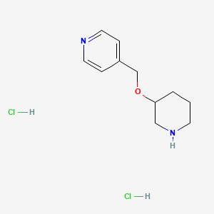 molecular formula C11H18Cl2N2O B11851294 4-((Piperidin-3-yloxy)methyl)pyridine dihydrochloride 
