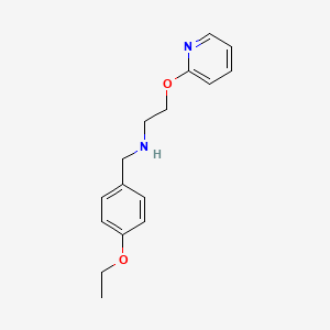 molecular formula C16H20N2O2 B1185233 N-(4-ethoxybenzyl)-2-(pyridin-2-yloxy)ethanamine 