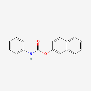 molecular formula C17H13NO2 B11855487 naphthalen-2-yl N-phenylcarbamate CAS No. 15341-57-8