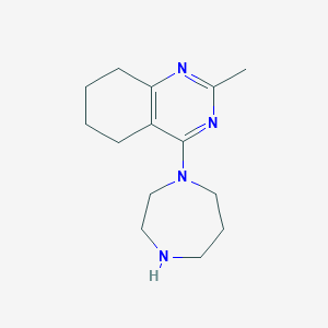 molecular formula C14H22N4 B11862990 4-(1,4-Diazepan-1-yl)-2-methyl-5,6,7,8-tetrahydroquinazoline 