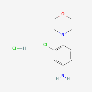 molecular formula C10H14Cl2N2O B11863844 3-Chloro-4-morpholinoaniline hydrochloride 