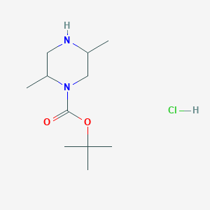 molecular formula C11H23ClN2O2 B11864449 tert-Butyl 2,5-dimethylpiperazine-1-carboxylate hydrochloride 