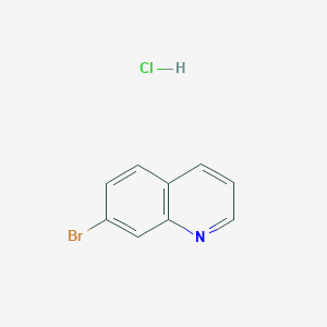 molecular formula C9H7BrClN B11865195 7-Bromoquinoline hydrochloride 