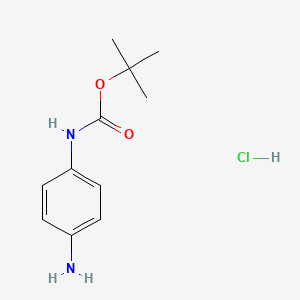 molecular formula C11H17ClN2O2 B11865816 tert-Butyl (4-aminophenyl)carbamate hydrochloride 