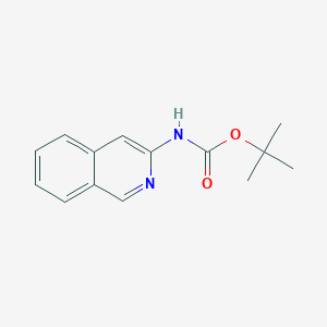 molecular formula C14H16N2O2 B11868991 tert-Butyl isoquinolin-3-ylcarbamate 