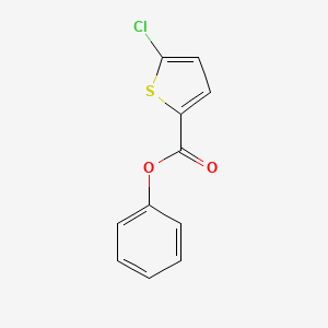 molecular formula C11H7ClO2S B11869247 Phenyl 5-chlorothiophene-2-carboxylate 