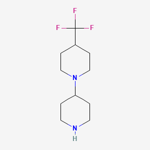 molecular formula C11H19F3N2 B11869535 4-(4-Trifluoromethylpiperidino)piperidine 
