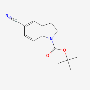 molecular formula C14H16N2O2 B11870020 tert-Butyl 5-cyanoindoline-1-carboxylate CAS No. 874841-30-2