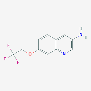 molecular formula C11H9F3N2O B11870340 7-(2,2,2-Trifluoroethoxy)quinolin-3-amine 