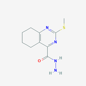 molecular formula C10H14N4OS B11871187 2-(Methylthio)-5,6,7,8-tetrahydroquinazoline-4-carbohydrazide 