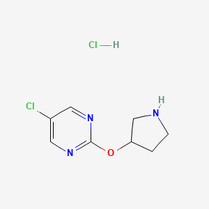 molecular formula C8H11Cl2N3O B11871243 5-Chloro-2-(pyrrolidin-3-yloxy)pyrimidine hydrochloride 
