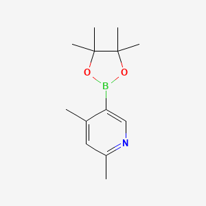 molecular formula C13H20BNO2 B11875442 2,4-Dimethyl-5-(4,4,5,5-tetramethyl-1,3,2-dioxaborolan-2-yl)pyridine 