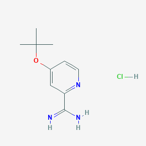 molecular formula C10H16ClN3O B11876943 4-(tert-Butoxy)picolinimidamide hydrochloride CAS No. 1179360-94-1