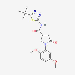 molecular formula C19H24N4O4S B1187769 N-(5-tert-butyl-1,3,4-thiadiazol-2-yl)-1-(2,5-dimethoxyphenyl)-5-oxopyrrolidine-3-carboxamide 