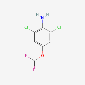 molecular formula C7H5Cl2F2NO B11879649 2,6-Dichloro-4-(difluoromethoxy)aniline CAS No. 154807-46-2