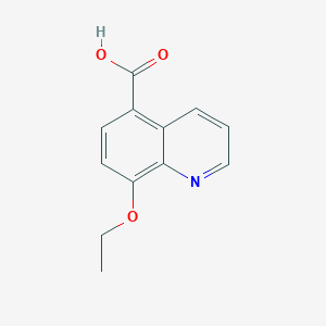 molecular formula C12H11NO3 B11885685 8-Ethoxyquinoline-5-carboxylic acid CAS No. 91569-71-0