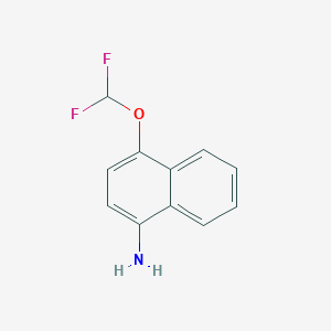 molecular formula C11H9F2NO B11894743 4-(Difluoromethoxy)naphthalen-1-amine 