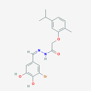 molecular formula C19H21BrN2O4 B1189876 N'-(3-bromo-4,5-dihydroxybenzylidene)-2-(5-isopropyl-2-methylphenoxy)acetohydrazide 