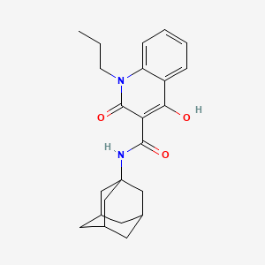 molecular formula C23H28N2O3 B1189999 N-(1-adamantyl)-4-hydroxy-2-oxo-1-propyl-1,2-dihydro-3-quinolinecarboxamide 