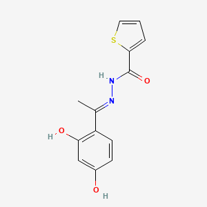 molecular formula C13H12N2O3S B1190028 N'-[(1E)-1-(2,4-dihydroxyphenyl)ethylidene]thiophene-2-carbohydrazide 