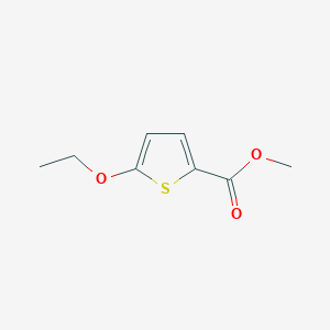 molecular formula C8H10O3S B11905293 Methyl 5-Ethoxy-2-thiophenecarboxylate CAS No. 1418117-83-5
