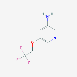 molecular formula C7H7F3N2O B11906919 5-(2,2,2-Trifluoroethoxy)pyridin-3-amine 