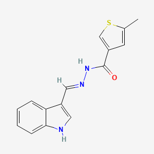 molecular formula C15H13N3OS B1190798 N'-(1H-indol-3-ylmethylene)-5-methyl-3-thiophenecarbohydrazide 