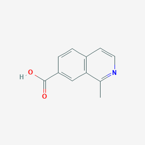 molecular formula C11H9NO2 B11908366 1-Methylisoquinoline-7-carboxylic acid 