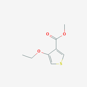 molecular formula C8H10O3S B11909645 Methyl 4-ethoxythiophene-3-carboxylate 