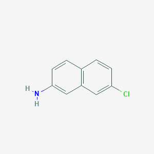 molecular formula C10H8ClN B11909950 7-Chloronaphthalen-2-amine CAS No. 90799-47-6
